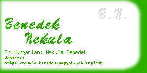 benedek nekula business card